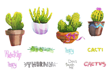 Set of hand drawn isolated cactus in pots. Watercolour illustration set of houseplants and letteringの写真素材