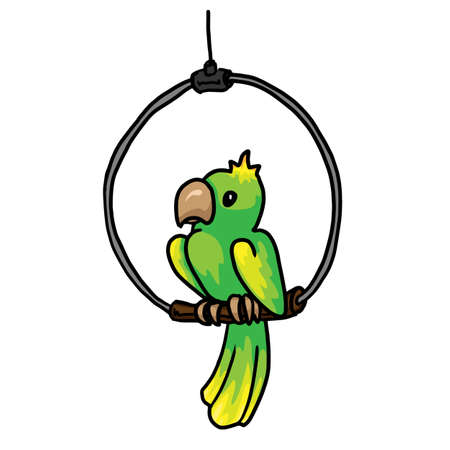 Parrot vector illustration isolated on white backgroundのイラスト素材