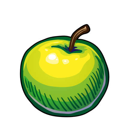 green apple vector illustration on white backgroundのイラスト素材