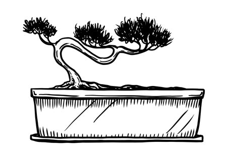 Bonsai vector illustration on white backgroundのイラスト素材