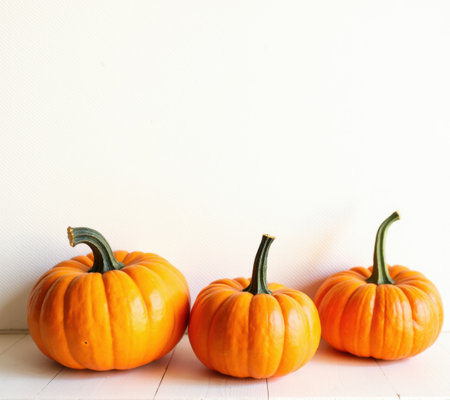 pumpkins different vegetables on white background.の素材