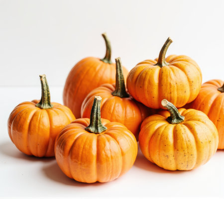 Pumpkins on a white background. Shallow dof.の素材