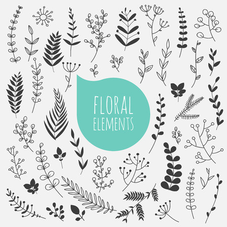 Floral elements. Hand drawn design elements. Collection of spring flowers, leaves, dandelion, grass. Design for invitation, wedding or greeting cards.のイラスト素材