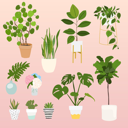 Set of decorative house plants. Flowerpot isolated objects, houseplant flower pot collection.のイラスト素材