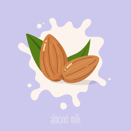 Almond milk. Almond nuts on a milk splash. Vector illustration.のイラスト素材