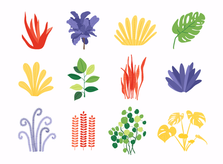 Set of colorful plant. Green concept. Flat vector illustration.のイラスト素材