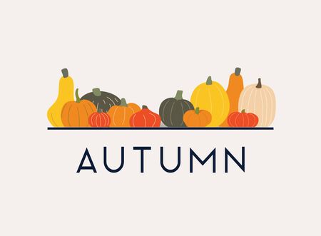 Autumn. Pumpkins on the background. Flat design modern vector illustration concept.のイラスト素材