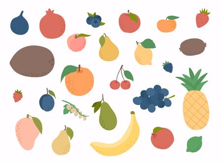 Set of colorful hand draw fruits. Tropical sweet fruits, and citrus fruit illustration. Vector set of fresh Fruits.のイラスト素材