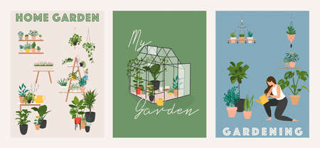 Garden, flowers and plants at home and outdoor. Glass greenhouse, home garden.のイラスト素材