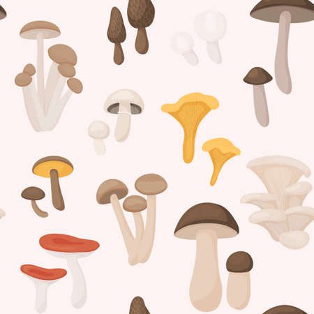 Large Mushroom set of vector illustrations in flat design isolated on white. Seamless pattern.のイラスト素材