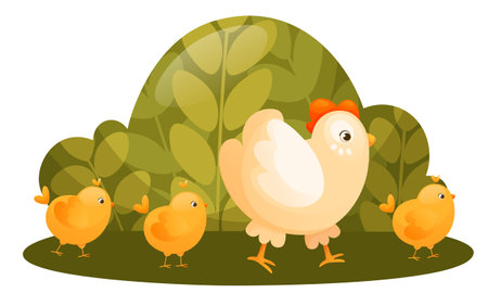 Mother hen with little yellow chicks on a walk. A hen and baby chickens are walking along a green clearing. Easter chickens on a walk. Vector illustration for books, cards, posters.のイラスト素材
