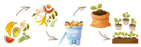 Compost life cycle diagram, infographics of composting processes. Process, stages of organic waste recycling, from collecting kitchen waste to using compost in agriculture, gardening. Zero waste.のイラスト素材