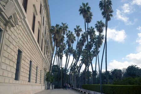 Malaga, Spain, February 2019. Museo Provincial de las Bellas Artes. beautiful slender palm trees. A cheerful company of young people at the entrance to the museum. Palace Aduana. Customs Palace.のeditorial素材