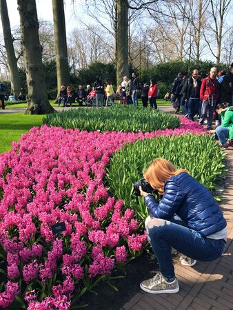 Keukenhof, the Netherlands, April 14, 2018. A girl with red hair photographs beautiful spring flowers in the famous Keukenhof park in the Netherlands in early spring on a sunny day.のeditorial素材