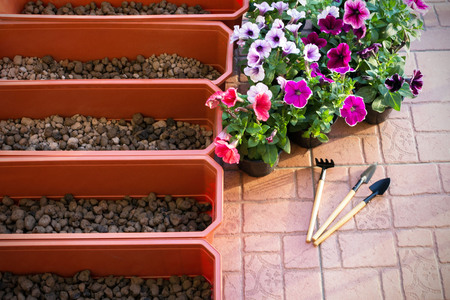 Beautiful purple, white and petunia corals, flower boxes on the balcony on a warm sunny day. In the boxes for planting flowers is the drainage of the drug. Landscape Design. Indoor flowers.の写真素材