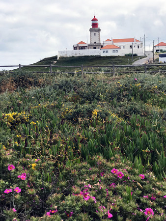 Bright beautiful spring flowers at Cape Roca, Portugal - the most westerly point of Eurasia. The famous and picturesque lighthouse of Cabo da Roca.のeditorial素材