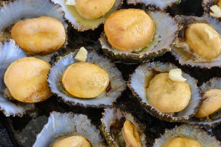 Cuisine of the Azores. The mollusks of Lapas, Limpets are popular as a snack in the Azores. Fried clams in garlic butter in a black frying pan. Traditional dish of the Azores. San Miguel, Portugal.の写真素材