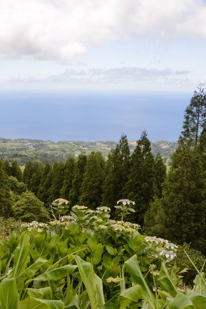 Beautiful views of the green forest, mountains and lake cloudy weather. Attractions on the island of San Miguel, Portugal. Travel to the Azores.の写真素材