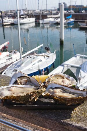 Large fresh oysters in the background of a yacht parking in the Belgian city of Ostend. Seafood. Tasty lunch while traveling. Close-up.の写真素材