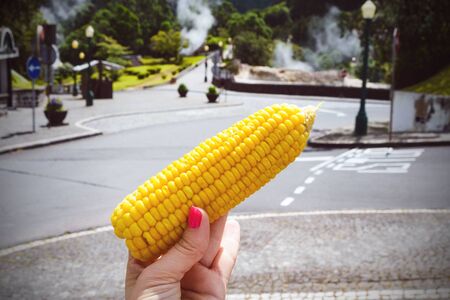 The girl holds in her hand a yellow sweet corn cooked in boiling natural hot springs Furnas on the island of San Miguel, Portugal, Azores.の写真素材