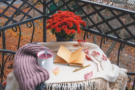 Autumn, home decor in the style of the Scandinavian Hygge. Fruit tea, red chrysanthemum and a notepad with blank sheets on a warm blanket. Hygge concept. Feeling of coziness, comfort and happiness. の写真素材