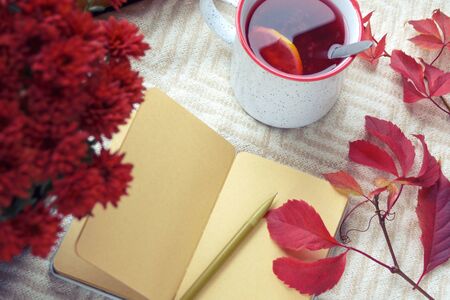 Autumn, fruit tea, red chrysanthemum and a notepad with blank sheets on a warm blanket. Hygge...