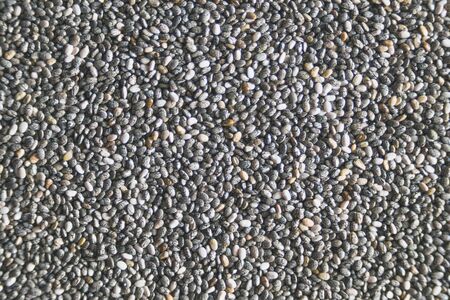 Edible seeds of chia, Salvia hispanica, a flowering plant of the mint family. A popular healthy food product.の写真素材