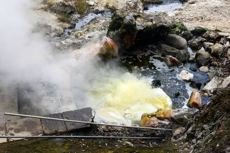 Cooking sweet corn in thermal springs. Travel to Furnas, San Miguel, Azores.
Furnas is a valley of...