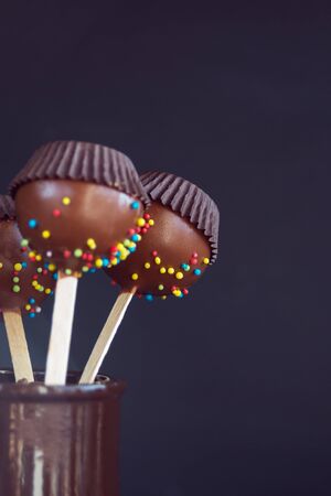 Chocolate cake pops with coconut flakes on a dark background. Mini cakes on a wooden stick. A popular sweet dessert.の写真素材