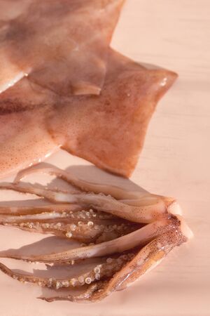 Fresh raw squid on a gently pink background. Close-up.