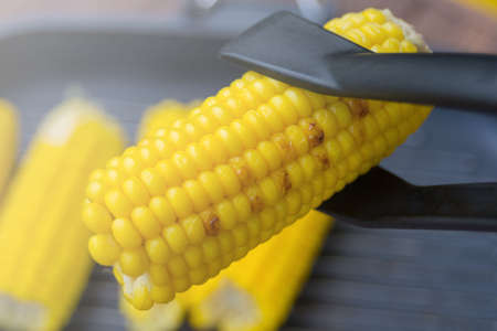 Young yellow sweet corn on the grill. Delicious summer meal.