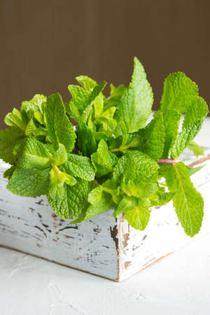 Fresh green mint leaves close-up in a white wooden box on a white background.