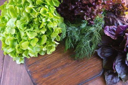 Fresh green lettuce leaves. Luscious greens for lunch. Healthy nutrition concept.の写真素材