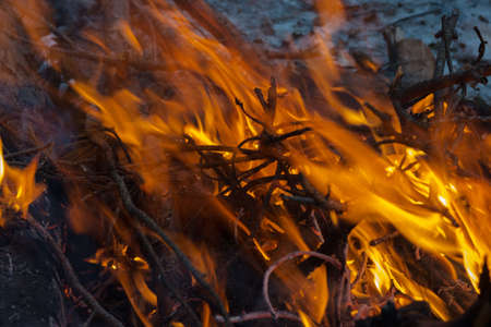 Warm bright fire and sparks in a bonfire from burning wooden logs. Bonfire background.の写真素材