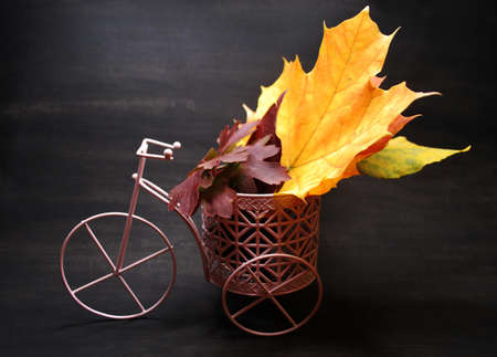 decorative bicycle carrying autumn leaves.の写真素材