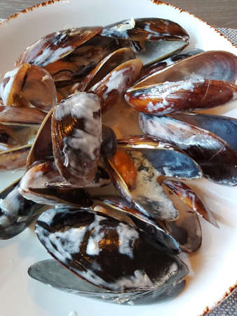 Russia - July 2020: In the photo - mussels in blue cheese sauce. Close-up.の写真素材
