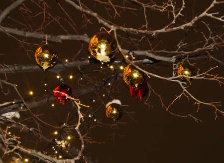 RUSSIA - DECEMBER 2014: The tree is decorated with Christmas balls. Evening.のeditorial素材