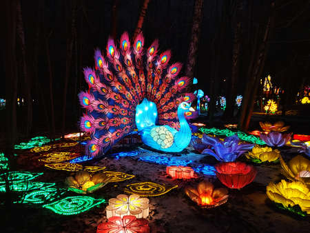 Russia - January 2020: A peacock made from Chinese lanterns glows in the dark. Chinese Lantern Festivals are held all over the world every year ...のeditorial素材
