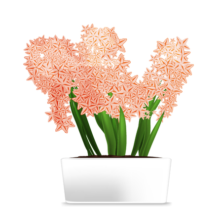 Spotted plant in a white pot. Vector illustration.のイラスト素材