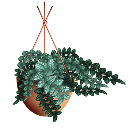 Spotted plant in a clay pot. Element of home decor. The symbol of growth and ecology. Vector illustration.のイラスト素材