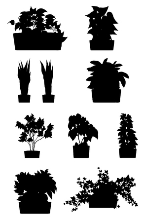 House plants silhouettes. Plant grown in a container, pot inside a house or flat, office, ornamental green plant. Flat style cartoon illustration isolated on white background. Vector illustration.のイラスト素材