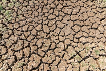 Landscape dried and cracked background. The soil dry land cracked ground surface.