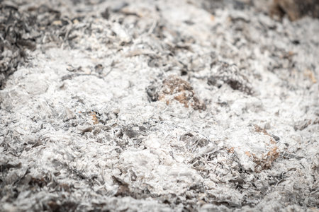 Abstract pile of ashes after the fire went out. Burning wood ash background and texture.