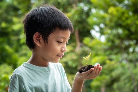 The little boy's hands are holding a small tree. Asian boy holding a seedling in his hand. The boy...