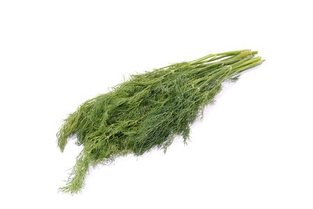 Sheaf of green dill, isolated over white backgroundの写真素材