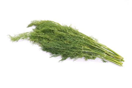 Sheaf of green dill, isolated over white backgroundの写真素材