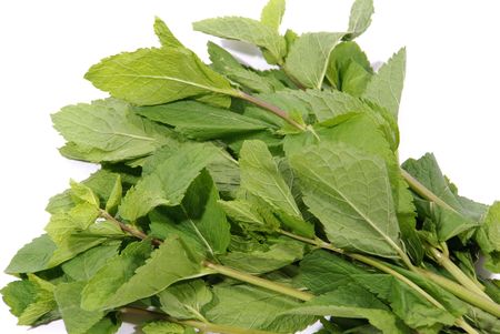 Fresh leafs of mint over white backgroundの写真素材