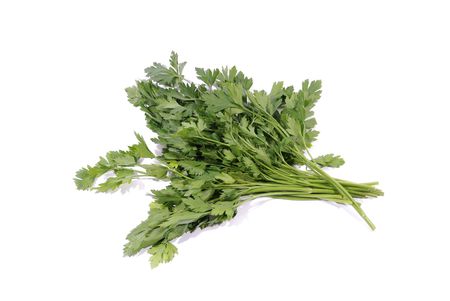 Sheaf of green parsley, isolated over white backgroundの写真素材