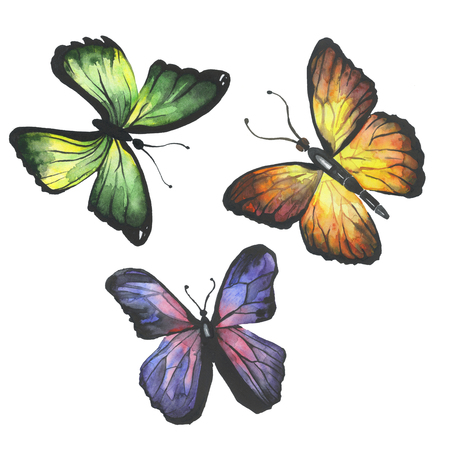 Set of watercolor butterfliesの写真素材