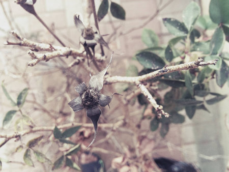 Life or death.の素材